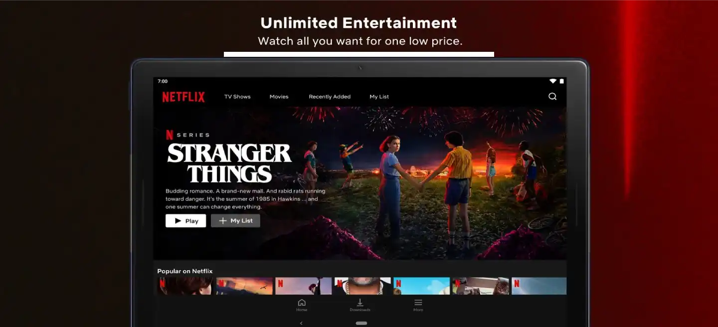 NetflixMod APK